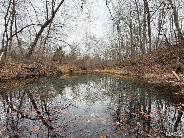 Tract 2 & 3 off Madison 248, Fredericktown, MO 63645