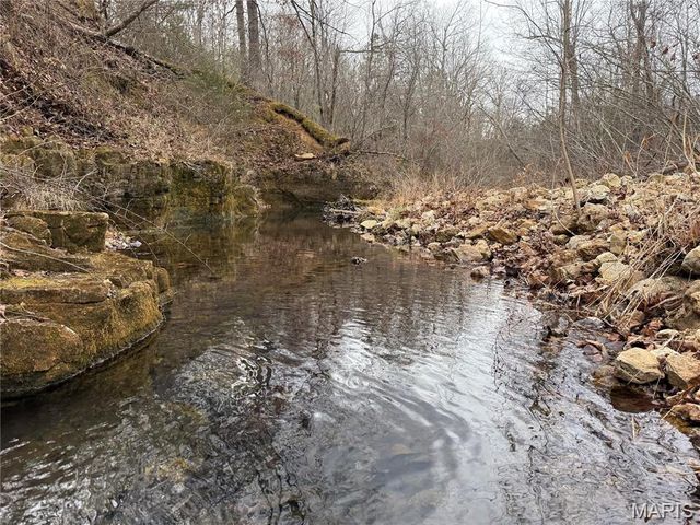 Tract 2 & 3 off Madison 248, Fredericktown, MO 63645