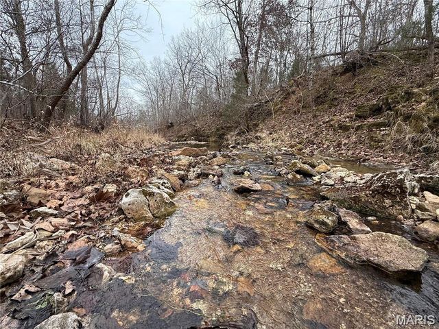 Tract 2 & 3 off Madison 248, Fredericktown, MO 63645