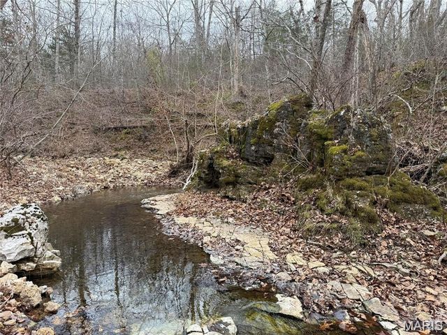 Tract 2 & 3 off Madison 248, Fredericktown, MO 63645