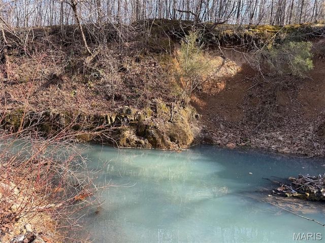 Tract 2 & 3 off Madison 248, Fredericktown, MO 63645