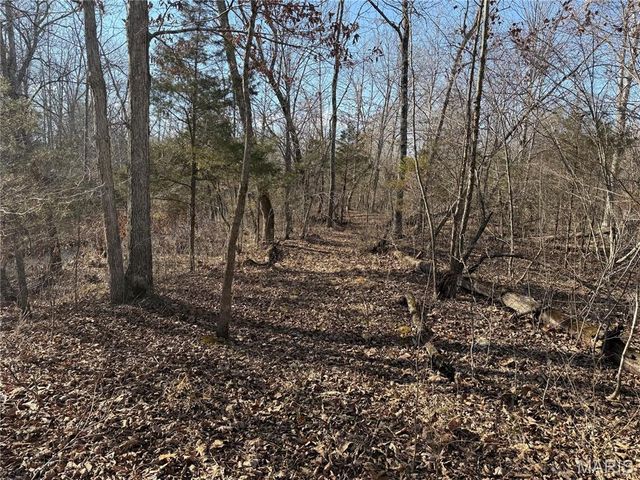 Tract 2 & 3 off Madison 248, Fredericktown, MO 63645