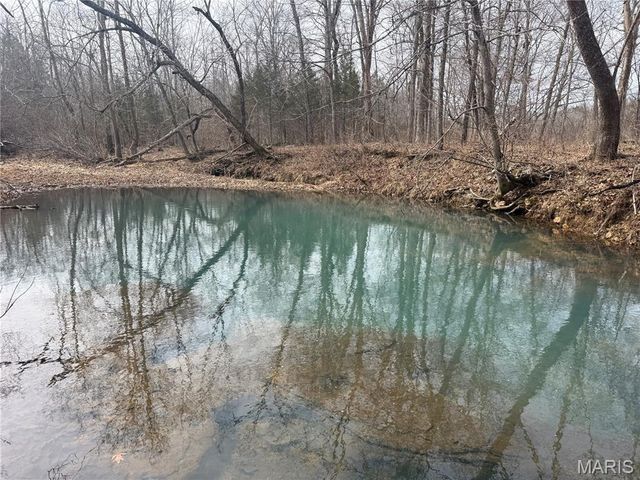 Tract 2 & 3 off Madison 248, Fredericktown, MO 63645