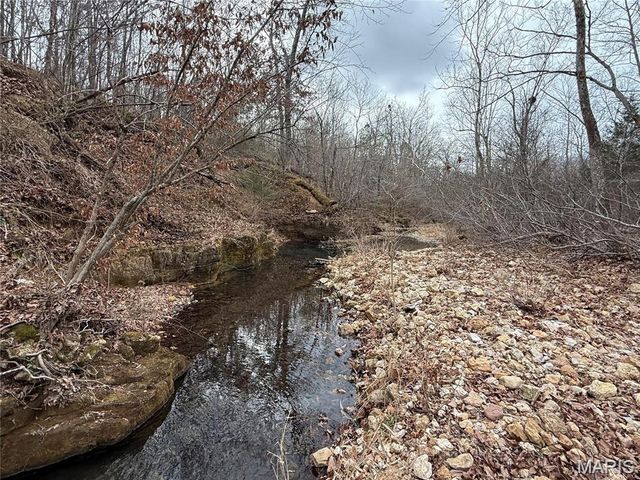 Tract 2 & 3 off Madison 248, Fredericktown, MO 63645