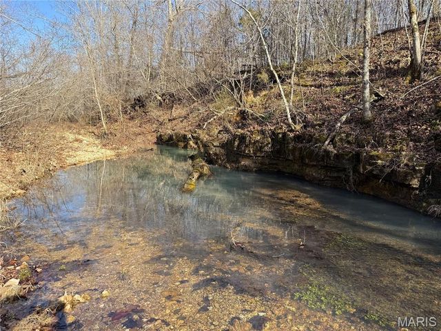 Tract 2 & 3 off Madison 248, Fredericktown, MO 63645