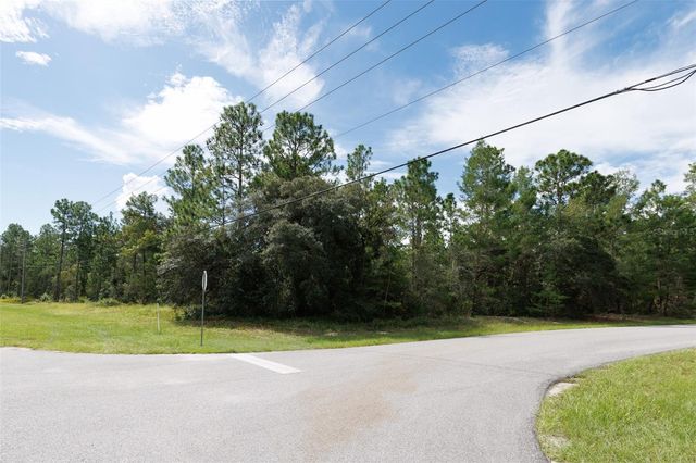 7293 N WINDBROOK DRIVE, Citrus Springs, FL 34433