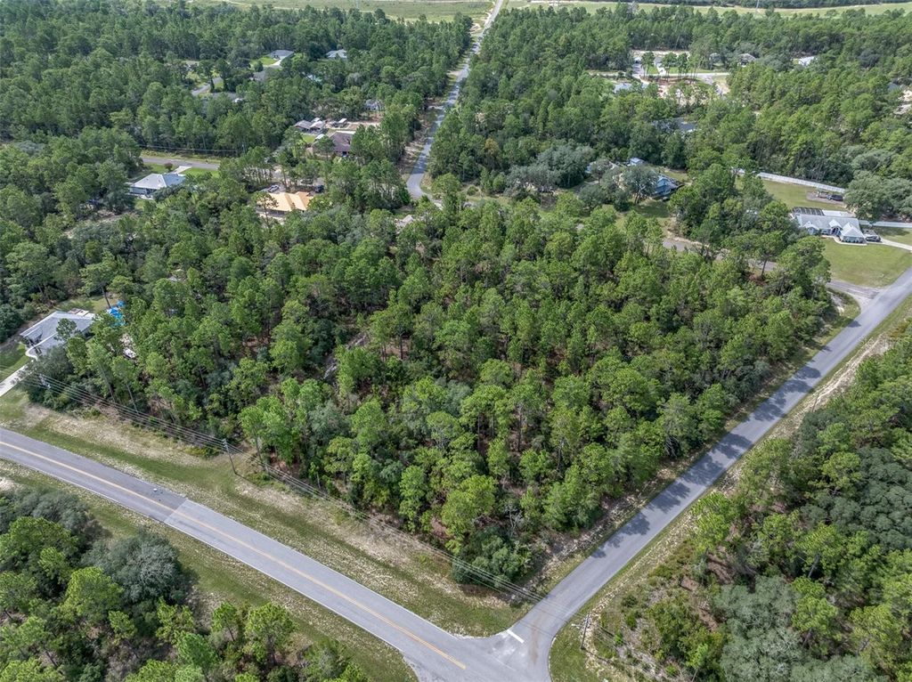 7293 N WINDBROOK DRIVE, Citrus Springs, FL 34433