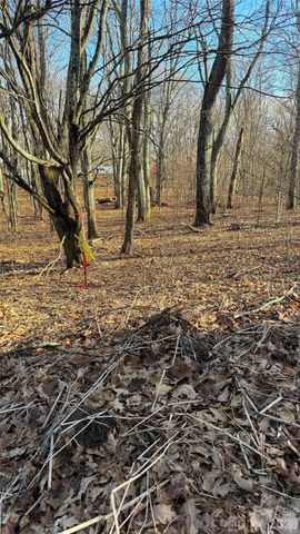 114 Eagle View Circle, Waynesville, NC 28786