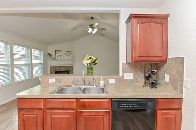4022 Mt Everest Way, Katy, TX 77449