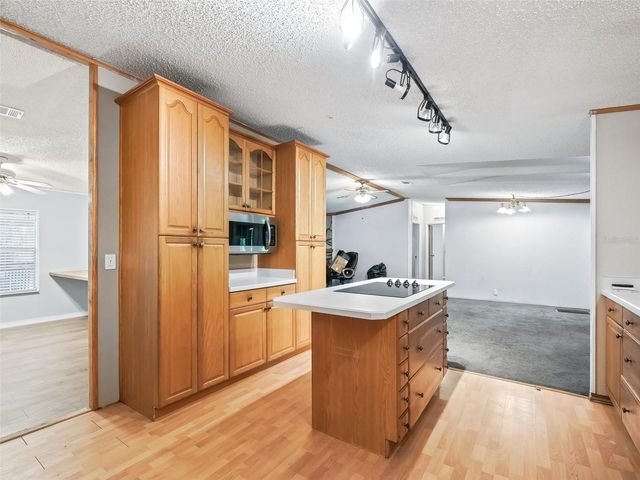 17070 SE 173RD TERRACE ROAD, Weirsdale, FL 32195