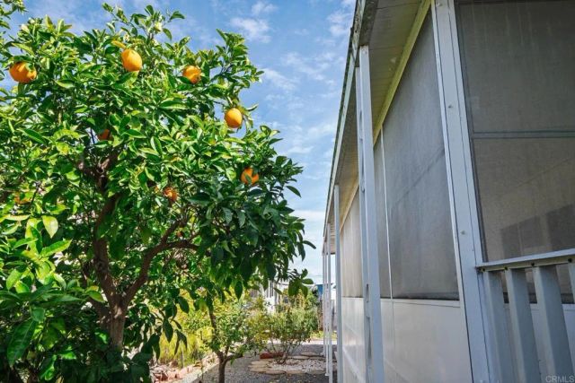 1286 Discovery 82, San Marcos, CA 92078