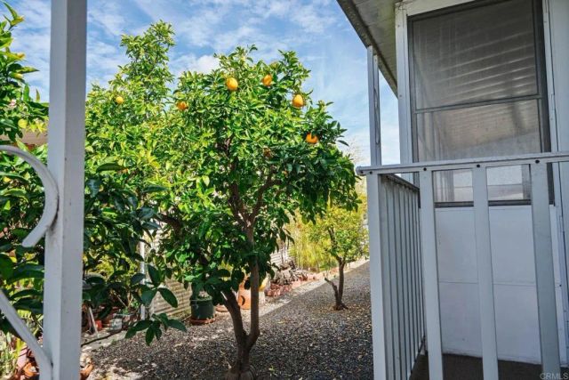 1286 Discovery 82, San Marcos, CA 92078