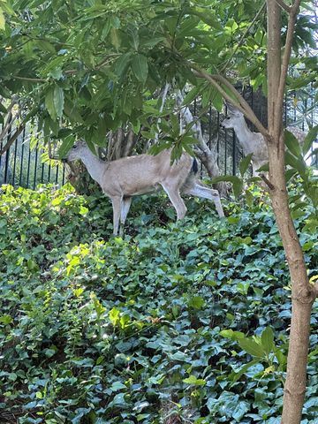 1444 Ashwood Drive, Martinez, CA 94553