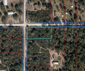 TBD NE 88TH LN, Bronson, FL 32621