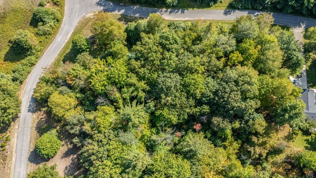 Lot 11 Executive Dr, Big Rapids, MI 49307