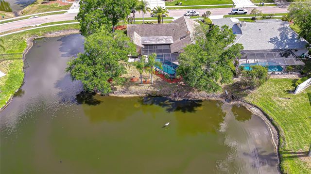 20 FERNBROOK ROAD, Oldsmar, FL 34677