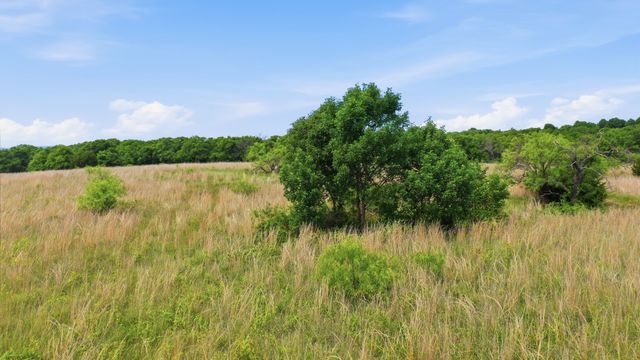 2050 Mustang Ridge, Perrin, TX 76486