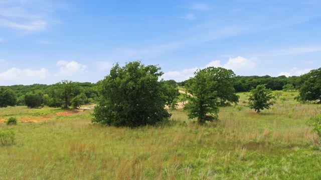 2050 Mustang Ridge, Perrin, TX 76486
