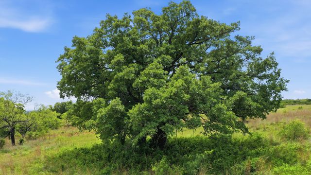 2050 Mustang Ridge, Perrin, TX 76486