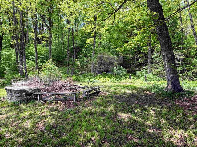 1057 Brockway Mills Road, Springfield, VT 05156