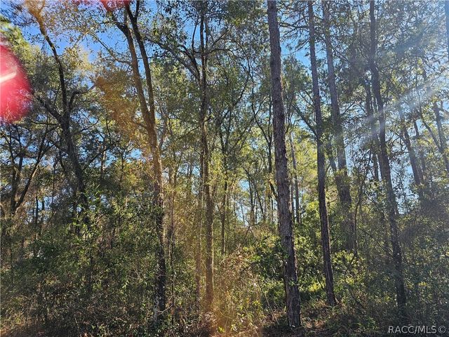 6342 E Glover Street, Inverness, FL 34452