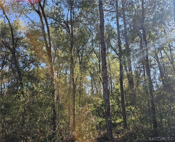 6342 E Glover Street, Inverness, FL 34452
