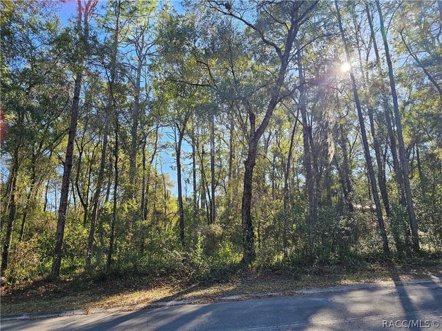 6342 E Glover Street, Inverness, FL 34452