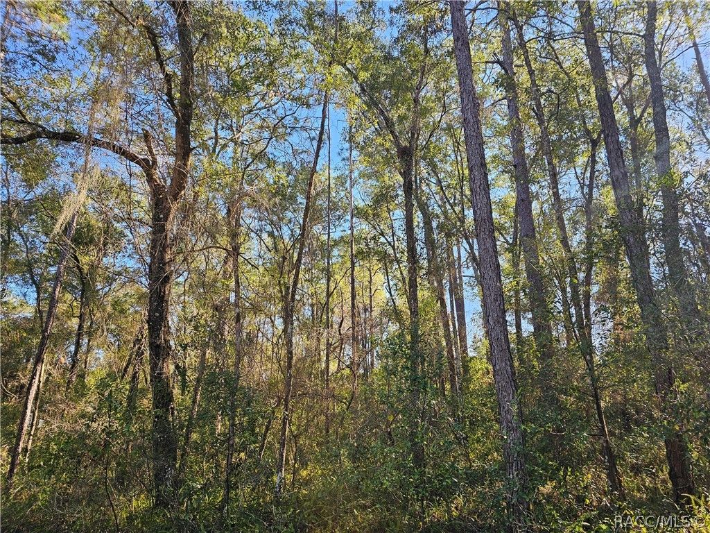6342 E Glover Street, Inverness, FL 34452