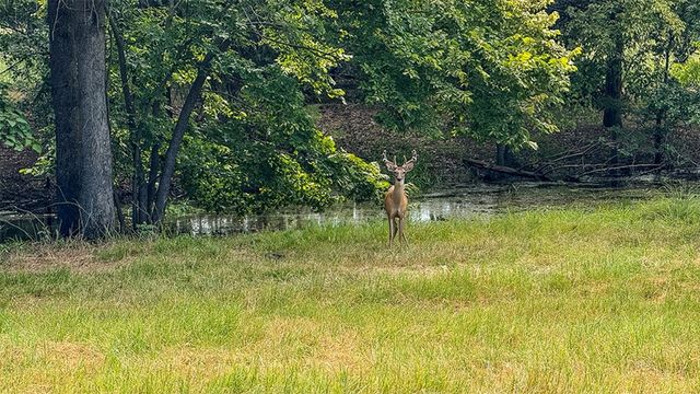 2382 Crystal Drive, Athens, TX 75752