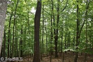 4 Greenstreet Drive, Traphill, NC 28685