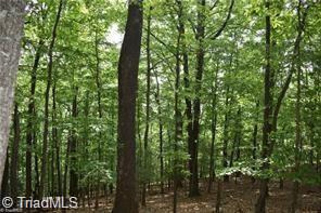 4 Greenstreet Drive, Traphill, NC 28685