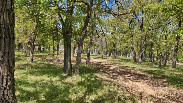 700 Cougar Road, Lipan, TX 76462