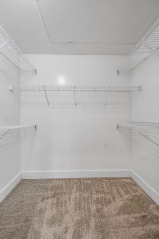 220 Cedar Street 204, Lexington, KY 40508