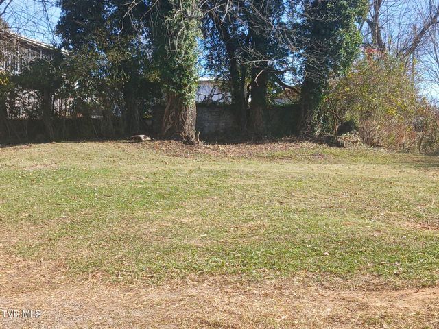 136 Beaver Street 1, Bristol, VA 24201