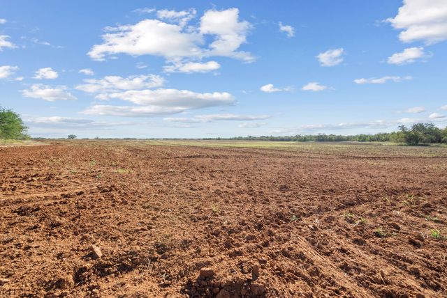 TBD County Road 136, Coleman, TX 76834