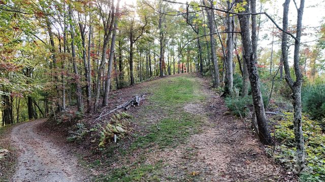 2 Roberts Mountain Road 2, Clyde, NC 28721