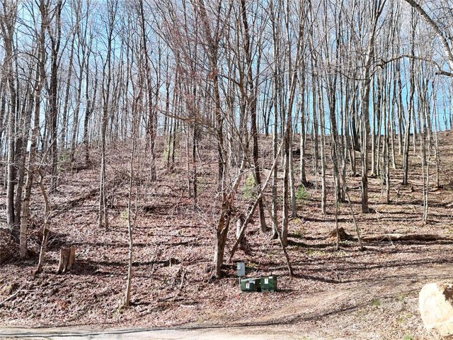 2 Roberts Mountain Road 2, Clyde, NC 28721