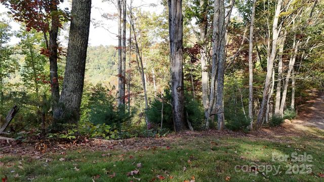 2 Roberts Mountain Road 2, Clyde, NC 28721