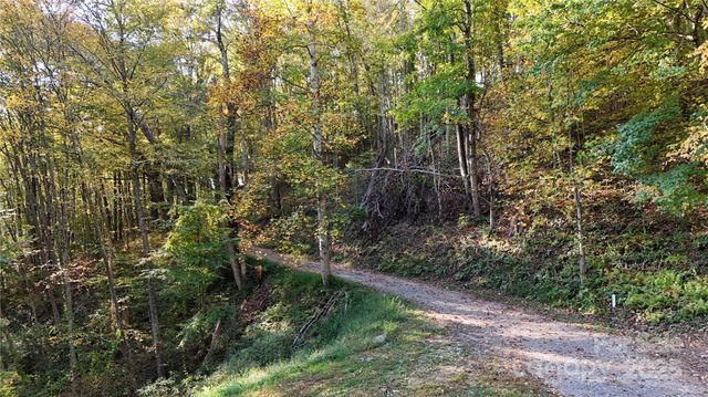2 Roberts Mountain Road 2, Clyde, NC 28721