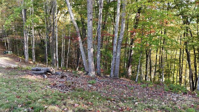 2 Roberts Mountain Road 2, Clyde, NC 28721