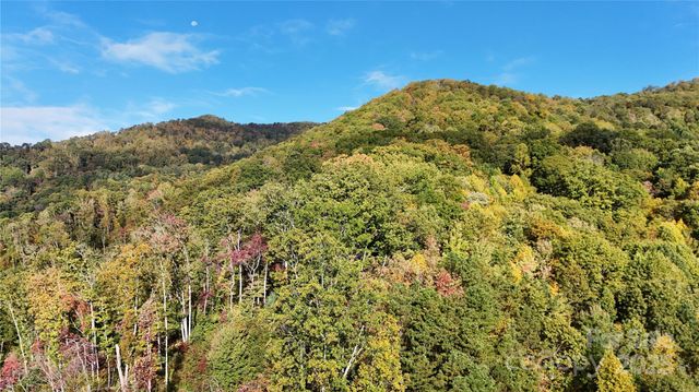 2 Roberts Mountain Road 2, Clyde, NC 28721