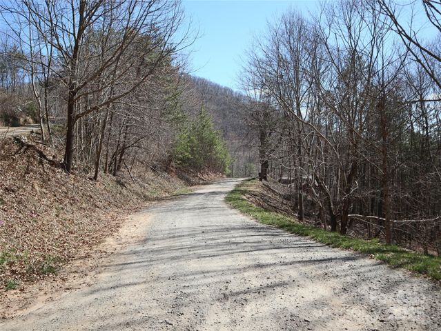 2 Roberts Mountain Road 2, Clyde, NC 28721