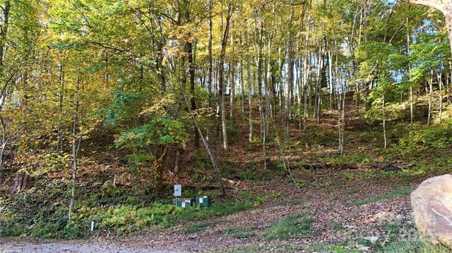 2 Roberts Mountain Road 2, Clyde, NC 28721