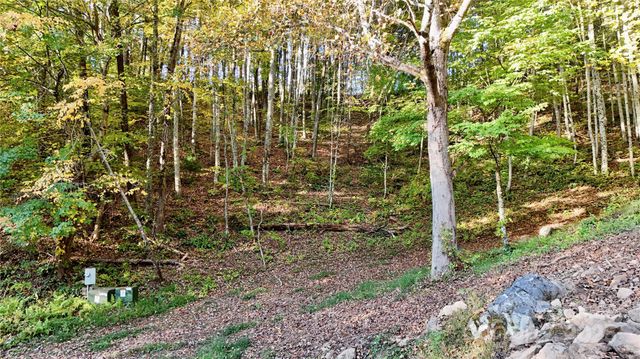 2 Roberts Mountain Road 2, Clyde, NC 28721