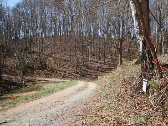 2 Roberts Mountain Road 2, Clyde, NC 28721