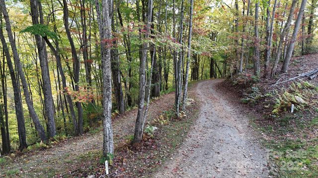 2 Roberts Mountain Road 2, Clyde, NC 28721