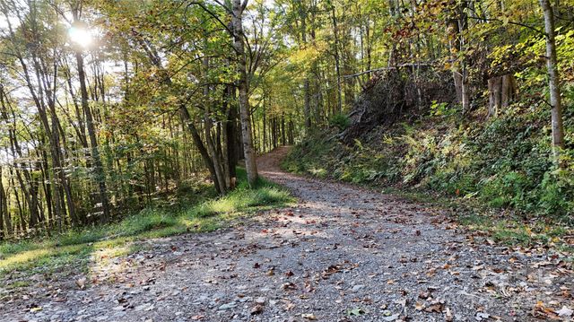 2 Roberts Mountain Road 2, Clyde, NC 28721