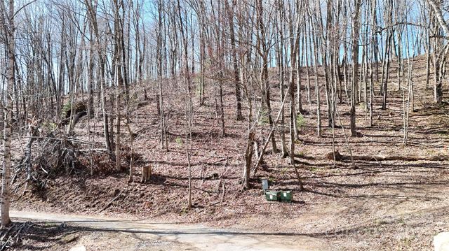 2 Roberts Mountain Road 2, Clyde, NC 28721