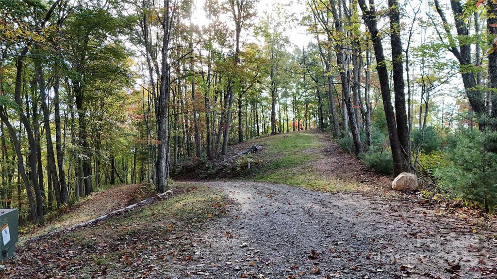 2 Roberts Mountain Road 2, Clyde, NC 28721
