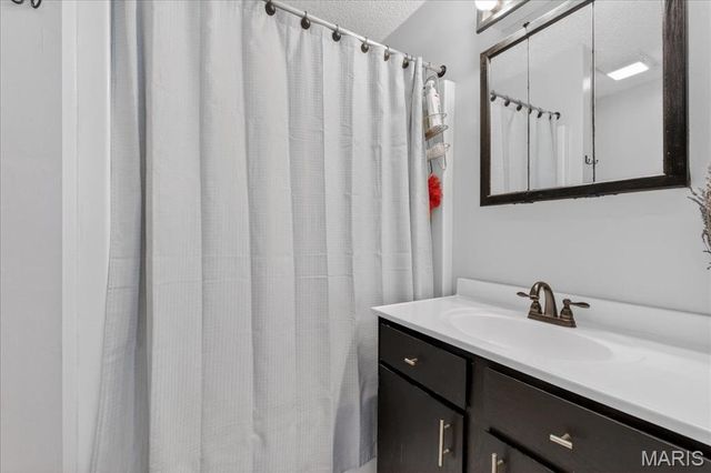 9734 Raintree Village Drive 4B, Hillsboro, MO 63050